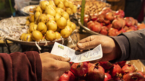 ذخیره بیش از ۴۰۰ تن میوه شب عید در آذربایجان غربی