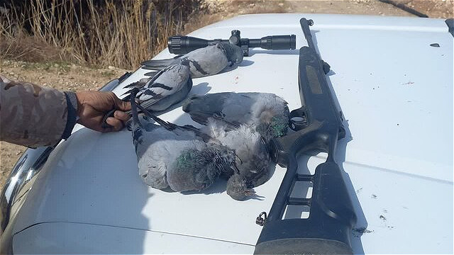  شکارچیان غیرمجاز در سه نقطه حساس استان دستگیر شدند