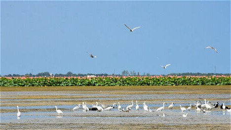۸ میلیون مترمکعب آب وارد ۲ تالاب آذربایجان غربی شد